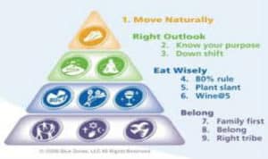 power of 9 - 370x220