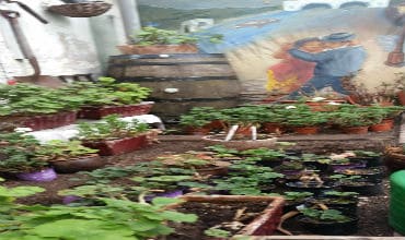 Tour Green: connecting known ánd unexpected peaceful havens